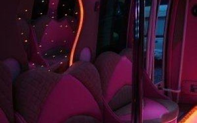 The Pink Party Bus 