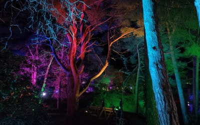 Provided Lighting and Power Distribution to light up a track to access a wedding in the woods