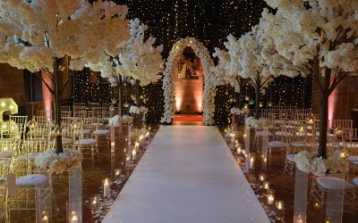 Blossom tree hire