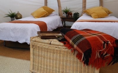 twin-beds-nova-air-tent-gaia-glamping-hire.jpg