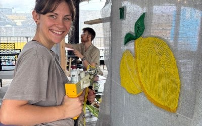 laoxa-ltd-rug-tufting-workshop-customer-photo.jpg laoxa-ltd-rug-tufting-workshop-customer-photo.jpg