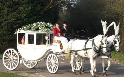 Glass coach with a pair of white horses
