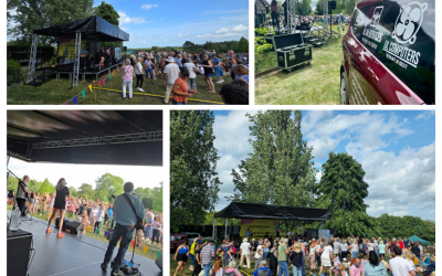 Festivals / Live Music