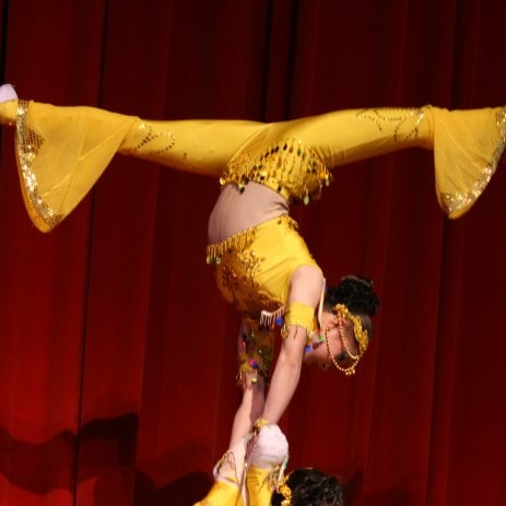 Acrobats for Hire