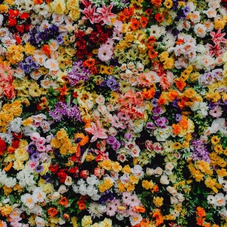 Flower Wall Hire