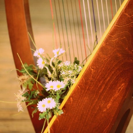 Hire Harpist Harpist Hire