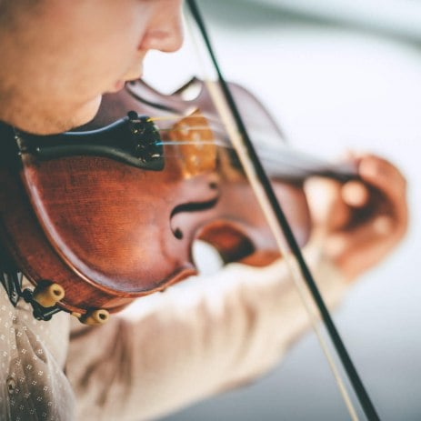 Musician Rental Musician Hire
