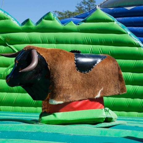 Rodeo Bull Hire