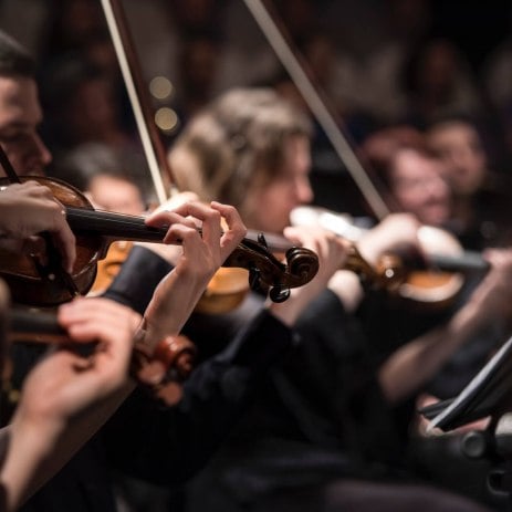 String Quartet Hire String Quartet Hire