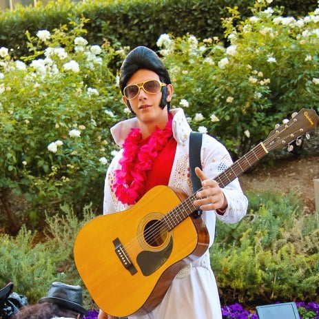 Hire Tribute Acts Tribute Acts Hire