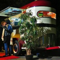 Private party hire Coco ..Sparkles and comes to life at night time