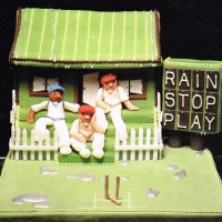 Themed 30th Birthday Cake for Cricekter Birthday Cake