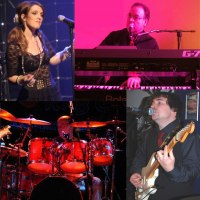 Trio to 5 piece party band GoldToNew party band