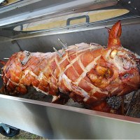 The Big Pig