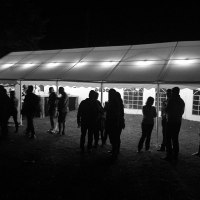 Ultra FX Hire Ltd