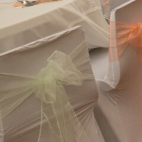 Blissful Chair Covers & Sashes