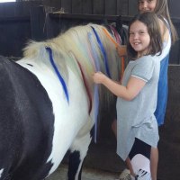 Therapeutic Equine Assisted Learning CIC