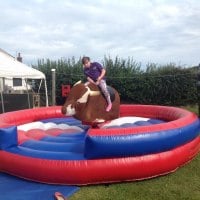 Love 2 Bounce Rodeo Bull Hire