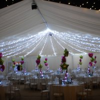 StageGear Rentals offers Pealights StageGear Rentals Wedding Services