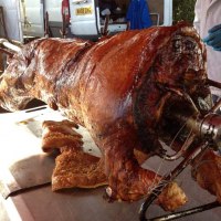 Glorious Pigs