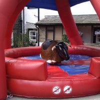 Party Maniacs Rodeo Bull