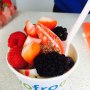 Yofrog. Frozen Yogurt
