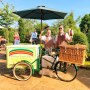 Rainbow Treats Trike