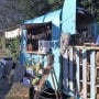 Molly - The Mobile Gin Bar