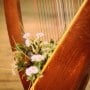 Harpist Hire in Lincolnshire