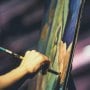 Live Event Painter in Belfast