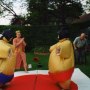 Sumo Suit Hire in Telford