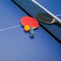Table Tennis Hire in Edinburgh
