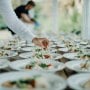 Wedding Catering in South Yorkshire