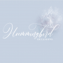 Hummingbird Occasions
