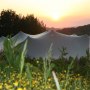 Stretch tent at sunset