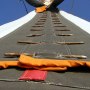 Hummingbird Tipis