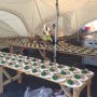 The No1 Food People