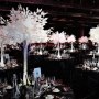 White Tree Table Centres White Tree Table Centres