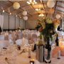 Wedding decorations Gnosall Mobile Bar