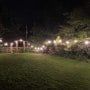 Festoon lights Festoon lights