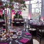 Crockery Cutlery Glass for hire Available for hire chairs tables linen and so much more.