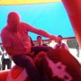 Jones Entertainments Rodeo bull hire