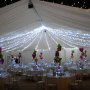 StageGear Rentals offers Pealights StageGear Rentals Wedding Services