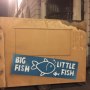 Big Fish Little Fish