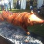 Hog The Lot Catering