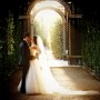 Walk in Love Studio
