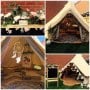 Tents and Teacup Events