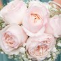 Sarah Cook Photography