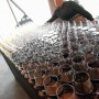 F and B Food and Drink Management