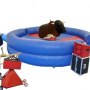 rodeo bull rodeo bull hire bristol and bath